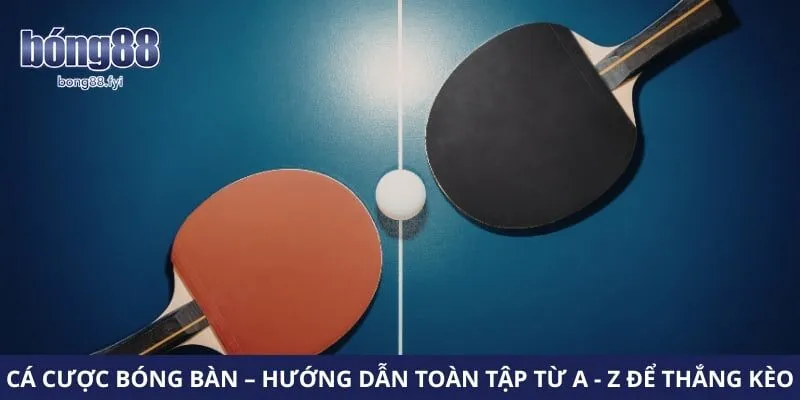 Cá Cược Bóng Bàn – Hướng Dẫn Toàn Tập Từ A – Z Để Thắng Kèo