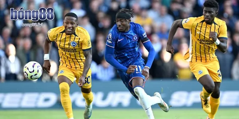 Phân tích phong độ của Brighton vs Chelsea