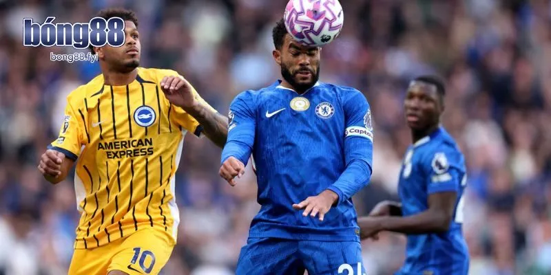 Soi kèo Brighton vs Chelsea qua phân tích lịch sử gặp nhau